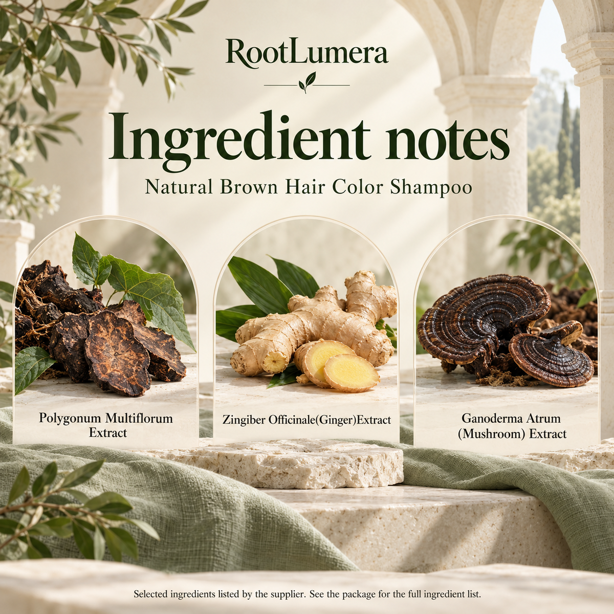 Natural Brown Hair Color Shampoo — 500 ml — ingredients