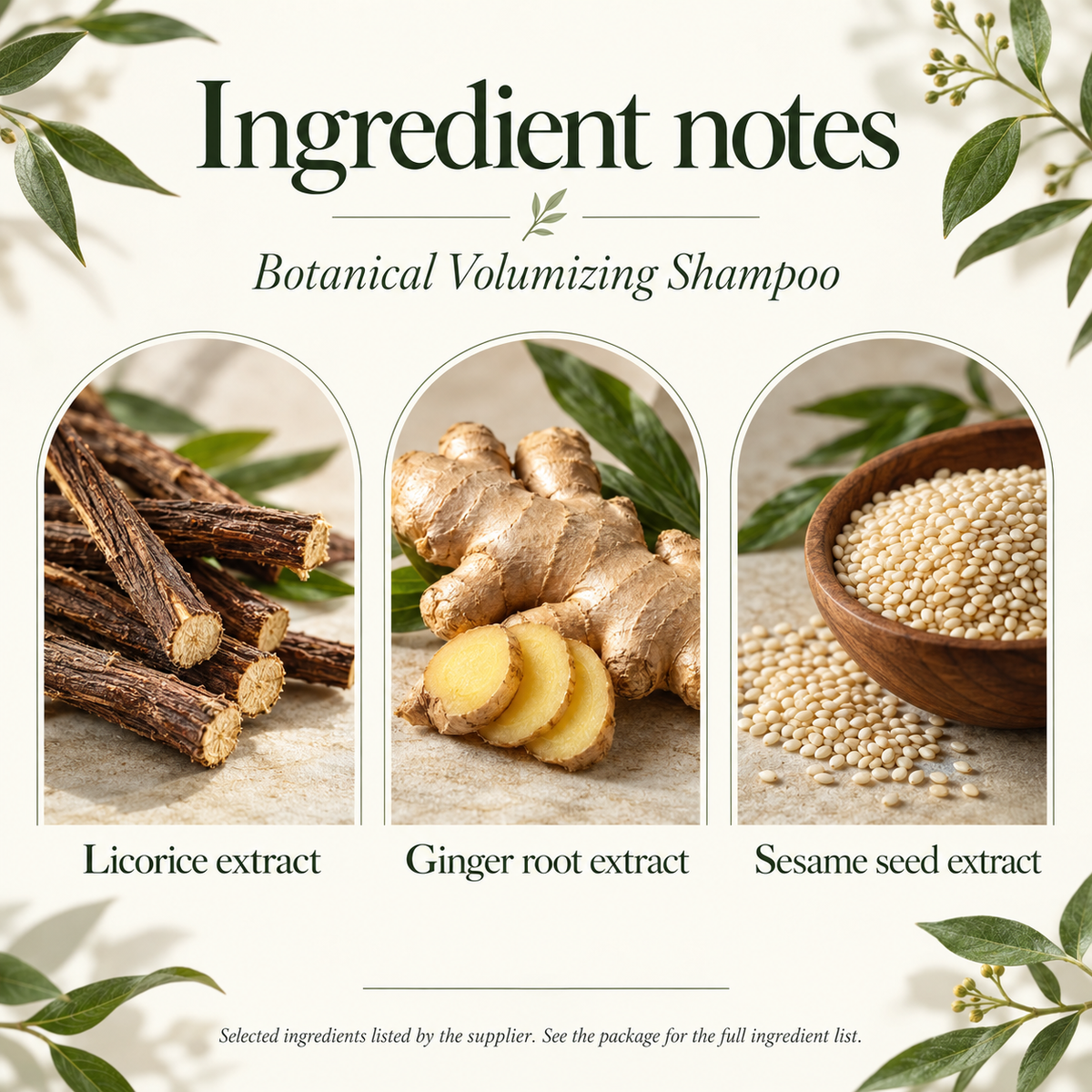 Botanical Volumizing Shampoo — 100 ml — ingredients