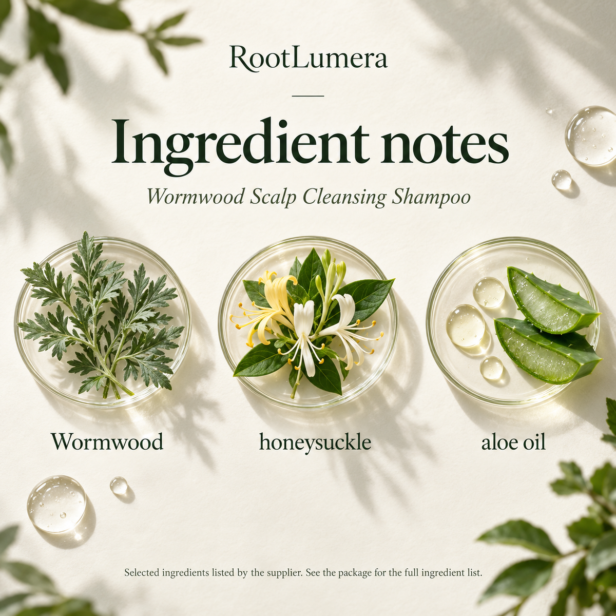 Wormwood Scalp Cleansing Shampoo — 100 ml — ingredients