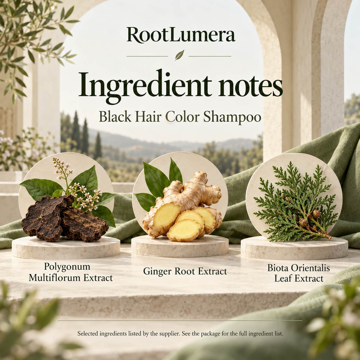 Black Hair Color Shampoo — 100 ml — ingredients
