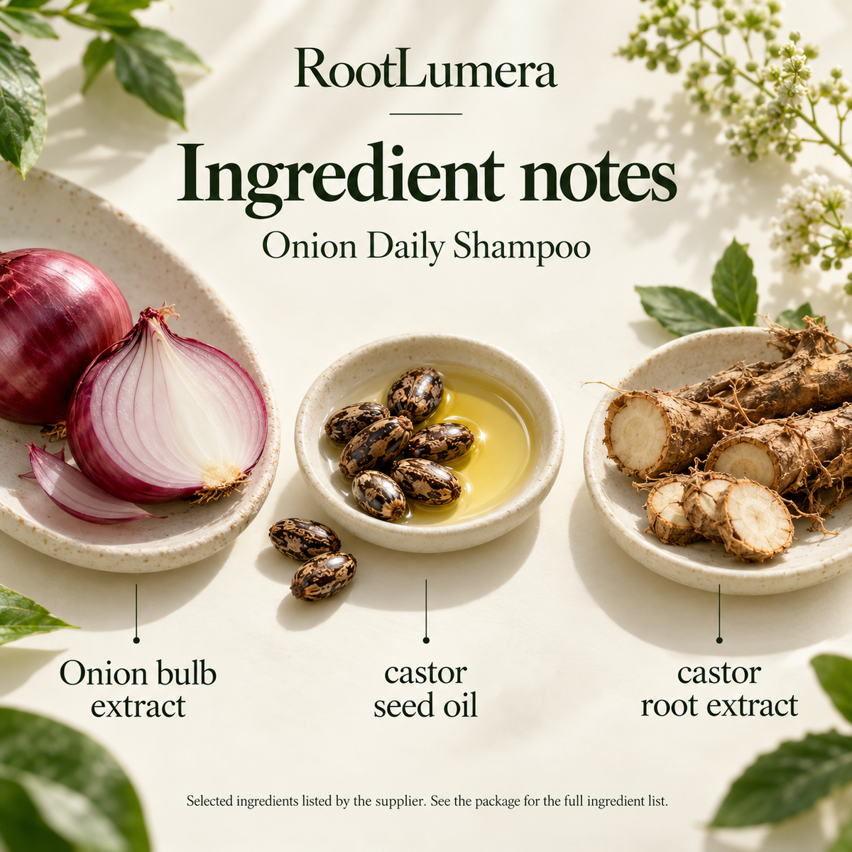 Onion Daily Shampoo — 100 ml — ingredients
