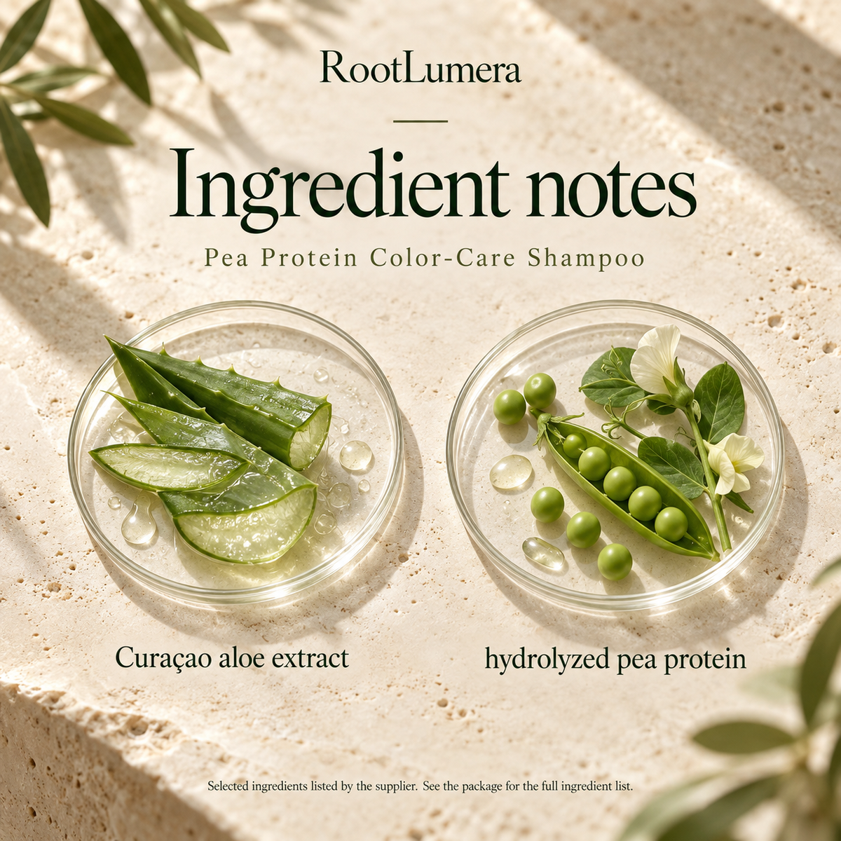 Pea Protein Color-Care Shampoo — 100 ml — ingredients
